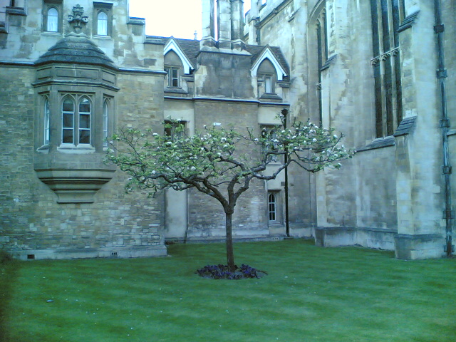 Cambridge 6.jpg